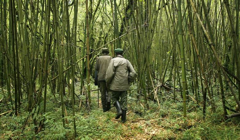 Congo: Our priority is not to save the planet