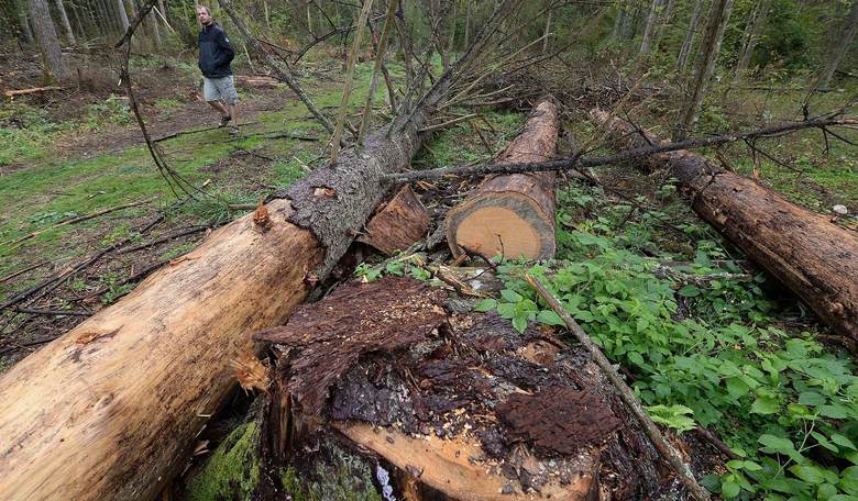 Weekend Parting Shot: The Biden Administration Gets Blasted Over Gas Stoves and New Jersey Kills a Forest to Save a Bird