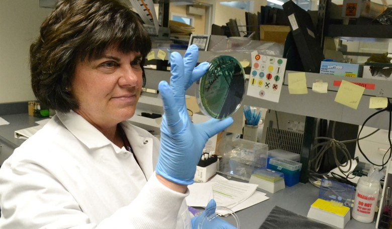 Here's to Your Health: With Cold and Flu Season Approaching, Review How to Use Antibiotics Properly