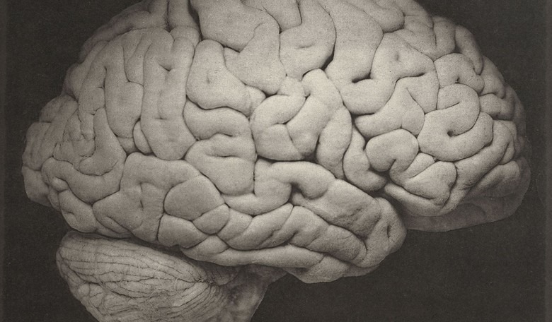 Report: Major University Planned to Reconsider Promoting 'Diversity of Thought'