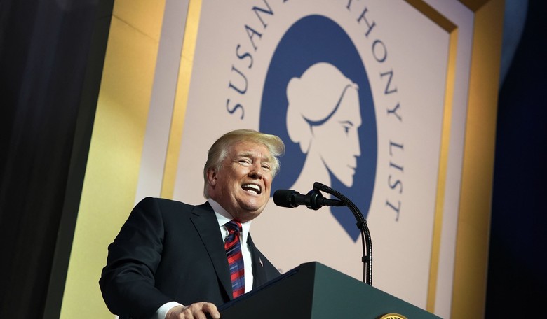 Trump Pardons Susan B. Anthony, She's Immediately Canceled