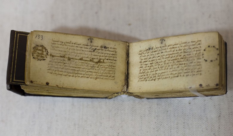 Four British students suspended for "slightly damaging" a book