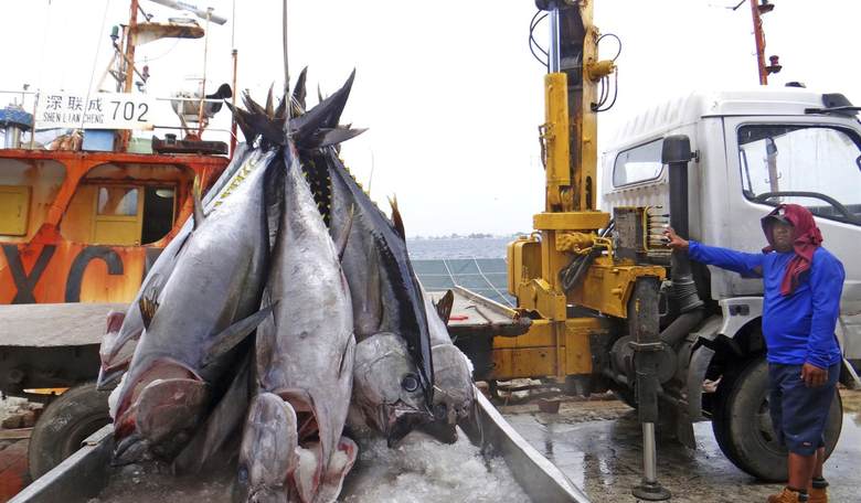 Does the "Green New Deal" Have a Plan for Dealing With Chinese Depletion of the Oceans' Resources?