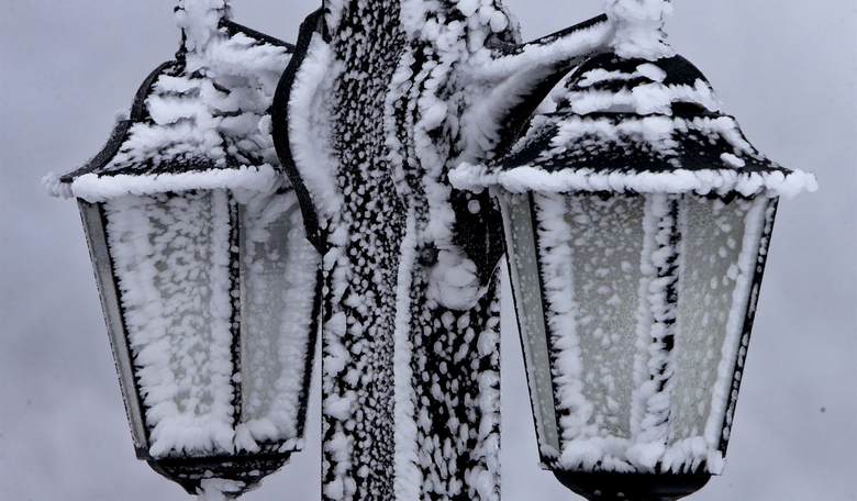 EU bans imports of products linked to deforestation, freezing Europeans cut down forests to survive