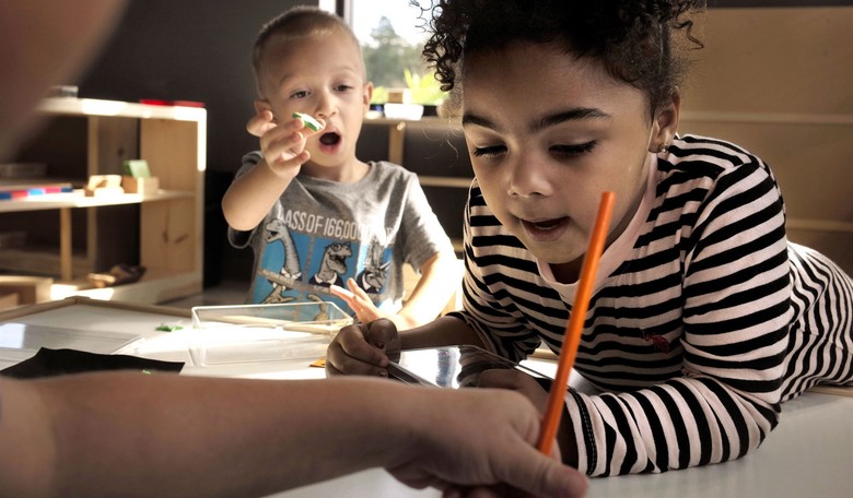 'Racial Literacy Curriculum': An Organized Plan to Indoctrinate America's Children
