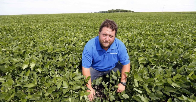 Why Are We Selling Farmland to China?