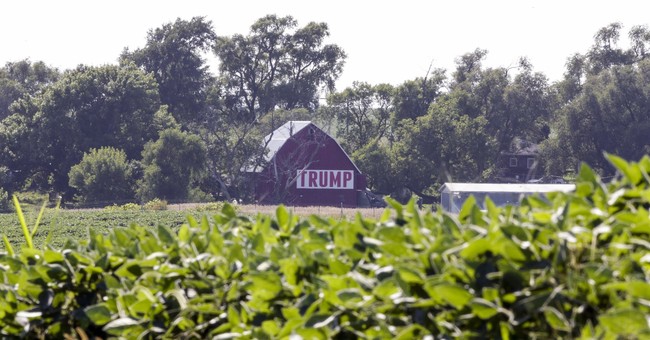Farmers Backed Trump But Suffer from His Trade War