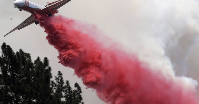 Newsom's California Is Burning