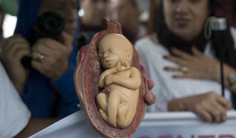 Michigan's 'Proposal 3' on Abortion Treats Human Beings Inhumanely