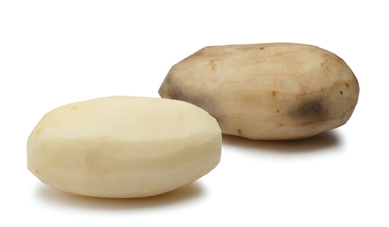 Misplaced Potatoes, Good Sports, and Bad Board Games: Are We Doomed?