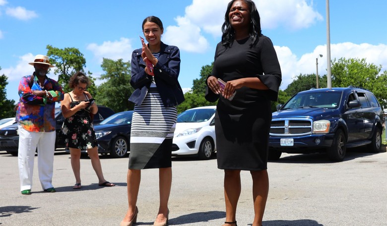 Rep. Cori Bush Files Meaningless Piece of Legislative Bovine Excrement  Against GOP Lawmakers