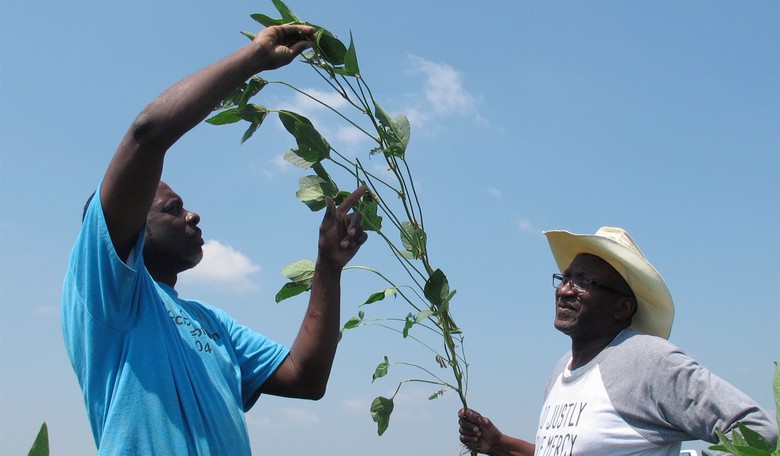 Tennessee Farmers Forced to Fight for Their Land Against Eminent Domain