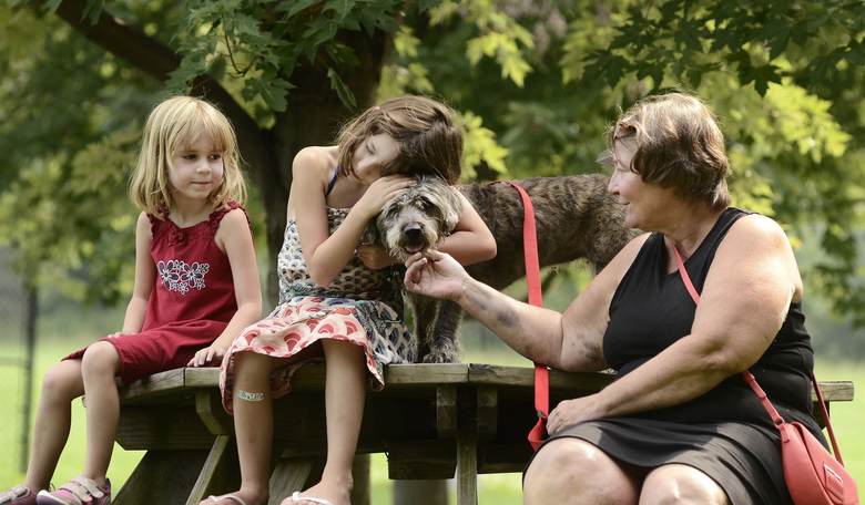 CNN Goes After Man's Best Friend