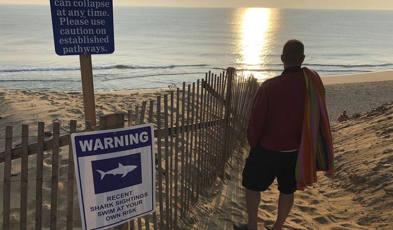 Meanwhile, Great White Sharks Lurk Off NYC Beaches; Gotta Be a Metaphor Here, Somewhere