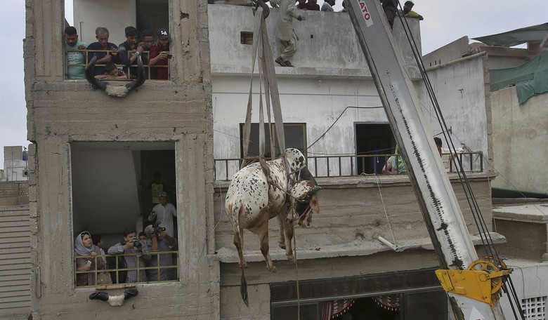 Michigan City Council Votes to Let You Sacrifice a Goat in Your Bathtub