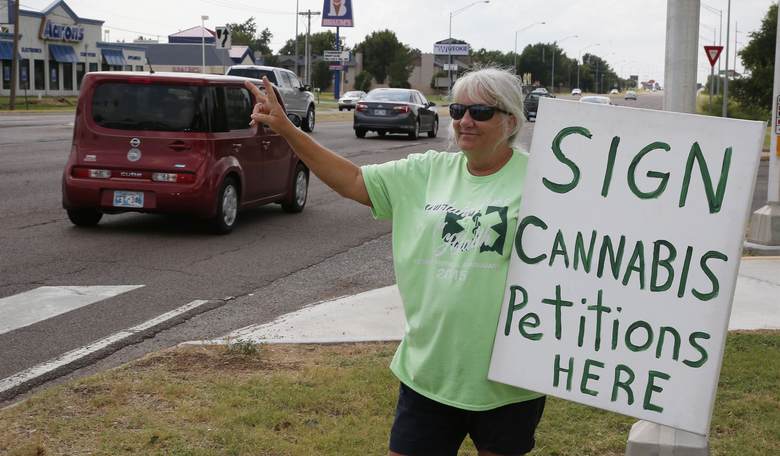 Michigan Signature Petition Fraud Is Widespread