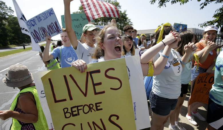 Gun Control Activists Turning To States To Advance Their Agenda