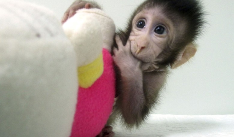 WHO Saves Feelings, but Whose? Will Rename Monkeypox Because It's 'Discriminatory'