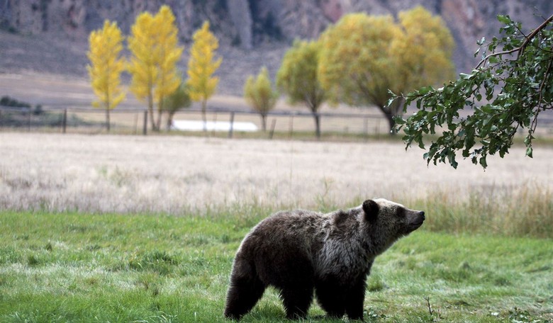 U.S. Appoints a Diplomat for Plants and Animals