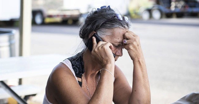 Pollsters Studying Why 2020 Predictions Were So Wrong Decide to Blame President Trump Saying Mean Things About Them