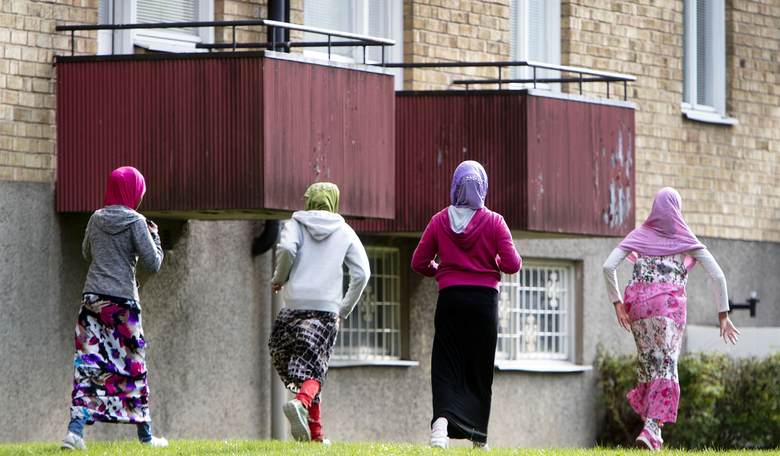 Nordic Countries Now Cooperating to Deport Illegals