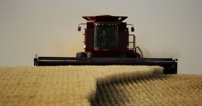 More Acreage in CRP? What Could Go Wrong?