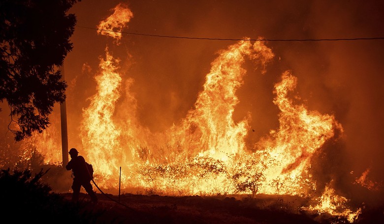 Planting Trees and Starting Fires