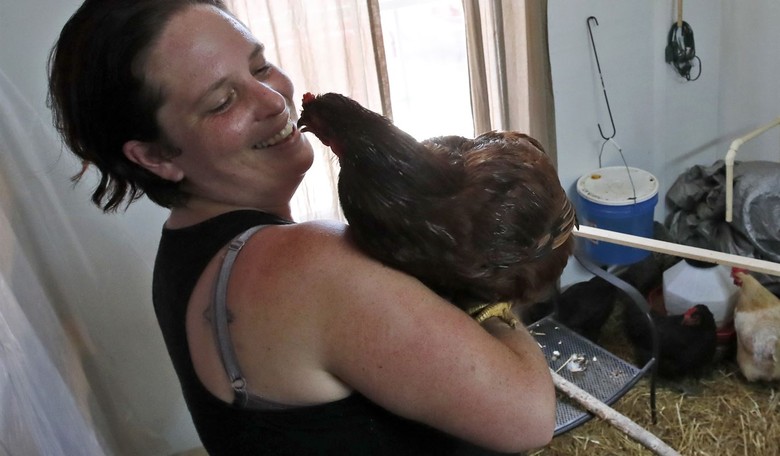 CDC Warns America: In the Name of Public Health, Stop Kissing Your Chickens