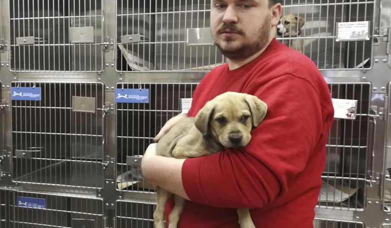 New York's new dog/cat sale ban misses the mark