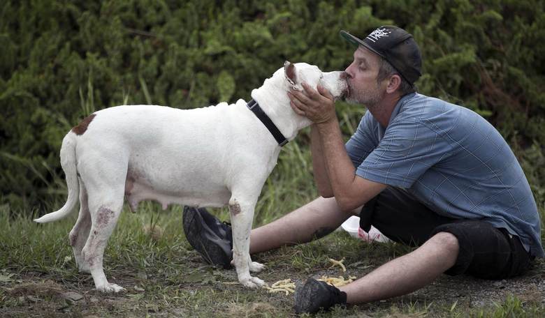 Doggone Discrimination: Academics Claim Bias Against Pit Bulls Is Racist