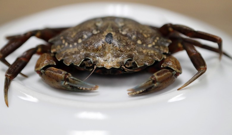 The coming crab cake crisis