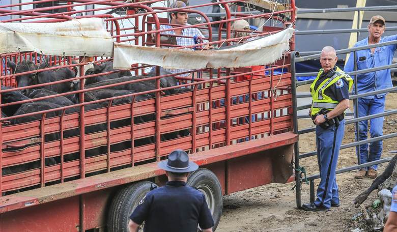 Brutal Farm Fire Kills 18,000 Cows