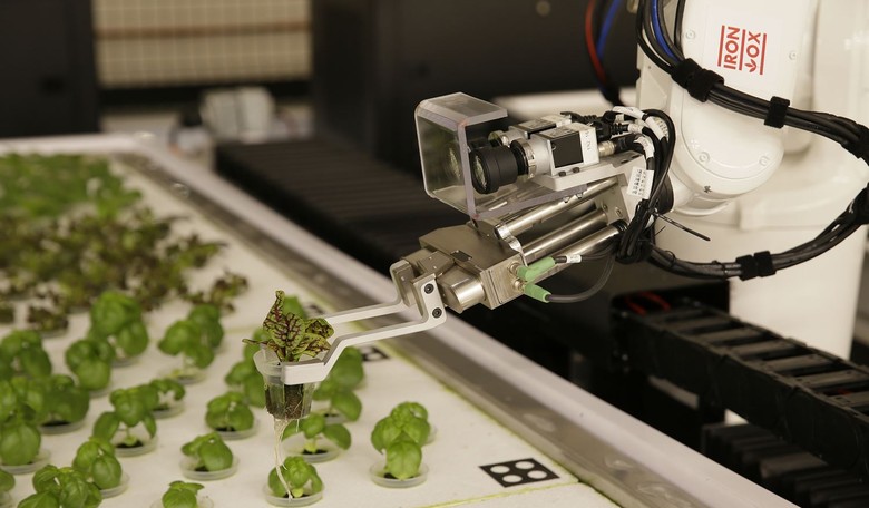 American Consumers Will Soon Be Eating CRISPR Gene-edited Conscious™ Salad Greens