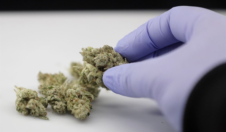 New Lawsuit Challenges Gun Ban for Medical Marijuana Users