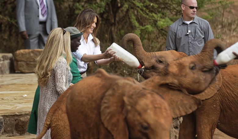 We are ALL talking about the elephant in the room
