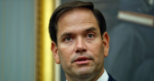 Rubio Dismisses Report About Dem Senator Attempting to Contact Dossier Author 