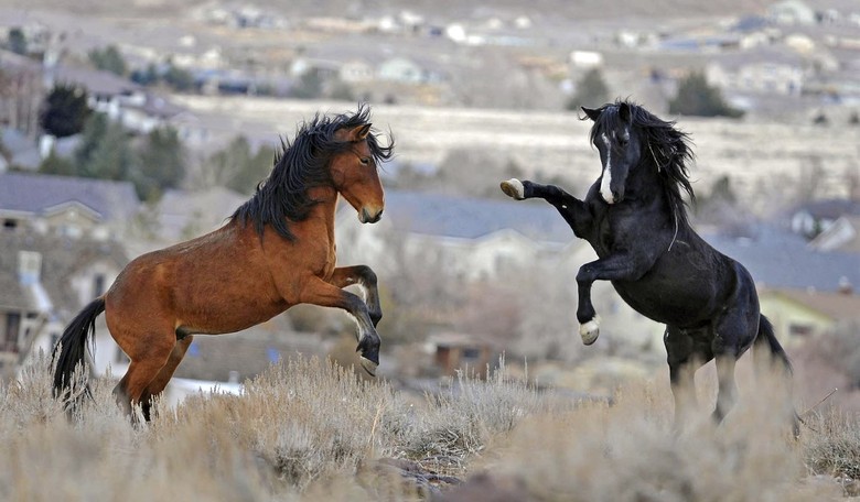 Proposed land "conservation" rule reeks of a big, ol' fed land "grab"