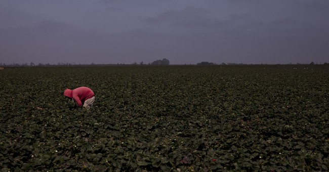 Beware: China Is Gobbling Up American Farmland