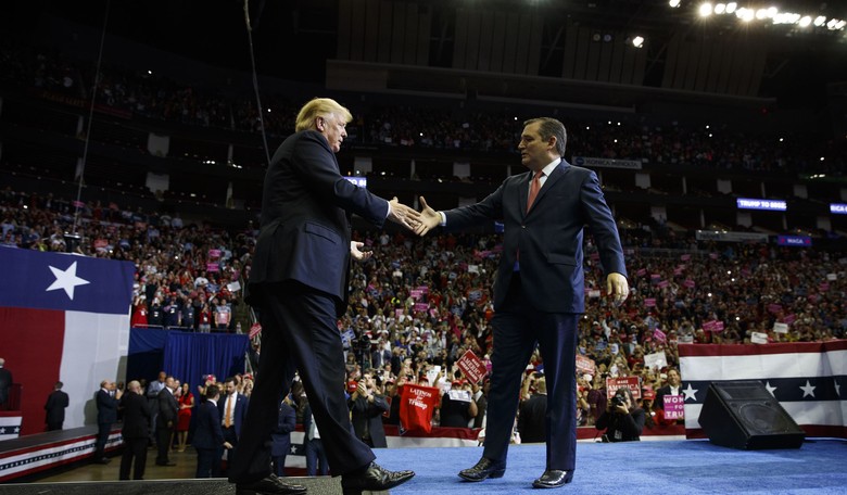 What Now?  MAGA Now -- With a Leader Who Is Bold but Not Vulnerable to Easy Caricature
