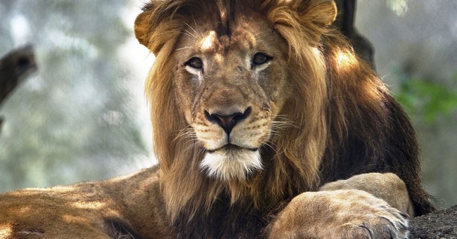 Gaming Out a MAGA Party