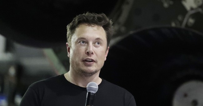 Is Elon Musk a Capitalist or a Crony?