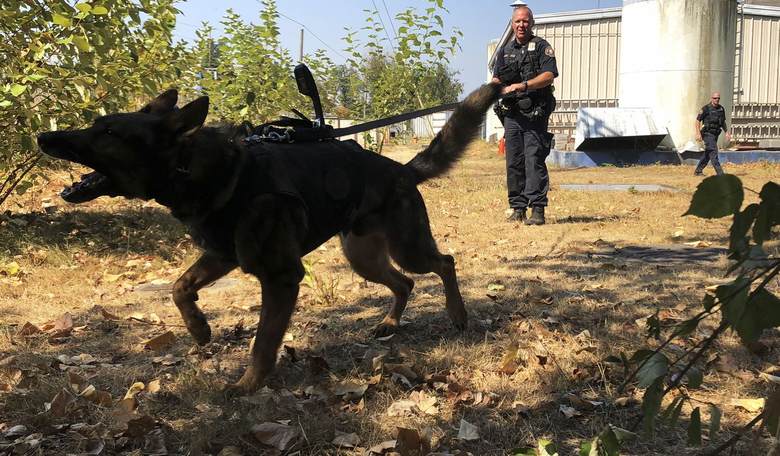Hero K-9 Stabbed 27 Times, Refuses to Let Go of Perp