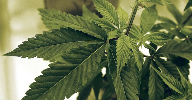Louisiana Senate Passes Bill Decriminalizing Marijuana