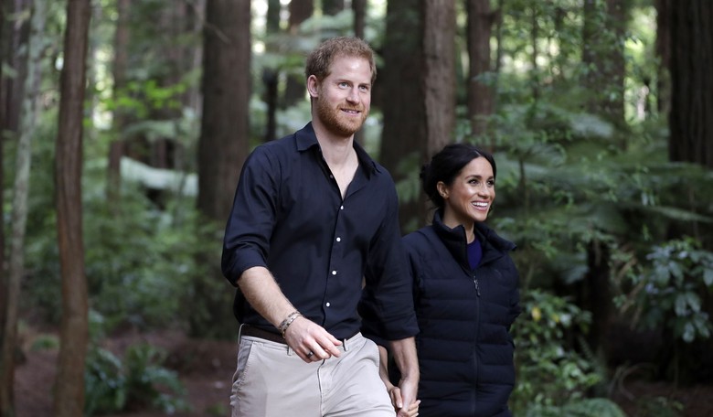 Scandal Ahead of Its Release - The Harry and Meghan Docuseries On Netflix Shown Filled With Fraud