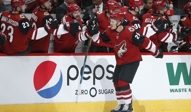 Why Doesn't Anyone Love the Arizona Coyotes?