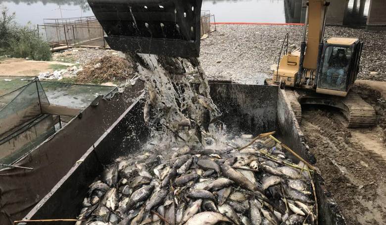Food Shortage, You Say? Mega-Prepper Farms His Own Fish