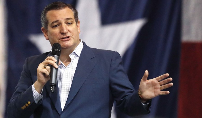 'Law Student' Gets Schooled Big Time After Trying to Upstage Ted Cruz at Court Packing Presser