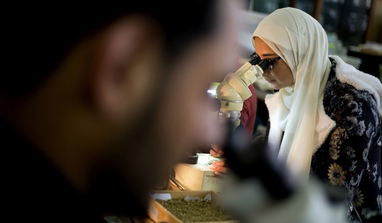 Victory: University of Minnesota Drops Racist 'Non-White' Requirement on Research Program