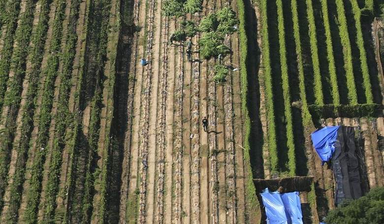 KDJ's Afternoon Roundup: Farmer 'Threatens' to Shoot the Green Pinkos Trying to Steal His Land, Judge Doesn't Blink