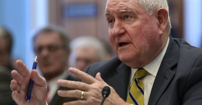 Oh SNAP, USDA Finally Reforms Bloated Food Stamp Program